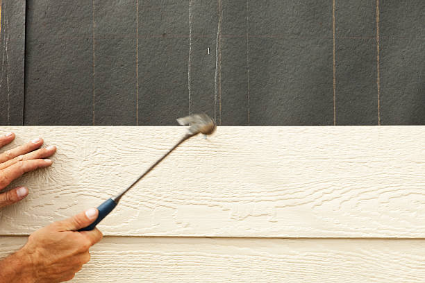 Best Siding Painting and Refinishing  in Natchez, MS